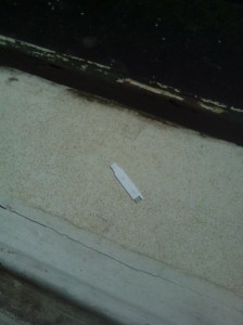 A discarded test-strip, yesterday